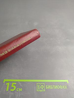 Дважды живёт поэт... избранная лирика