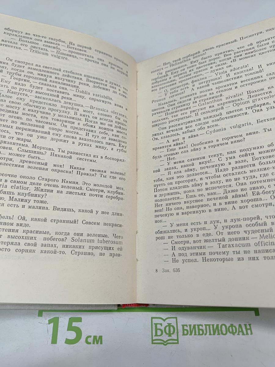 Над Тиссой Туман