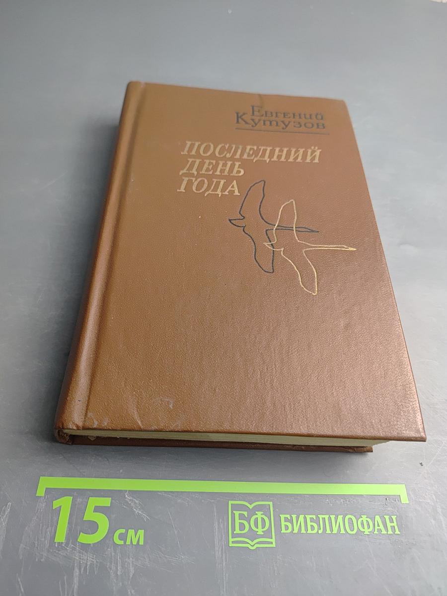 Последний день года