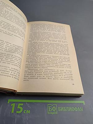 Последний день года