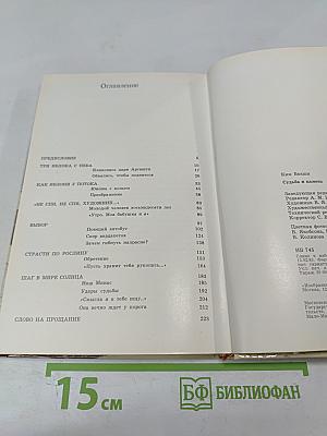 Судьба и камень