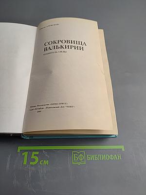 Сокровища Валькирии. Хранитель Силы