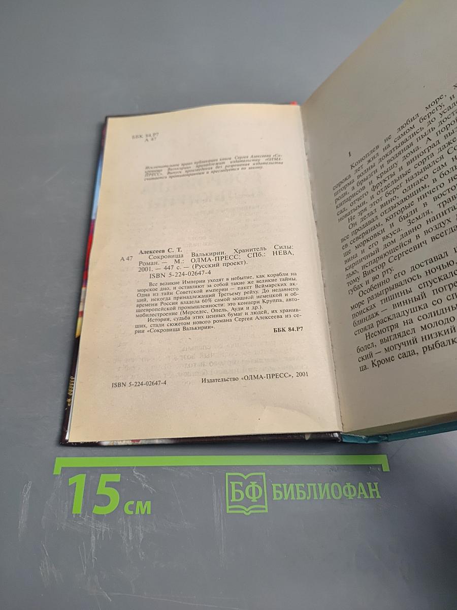 Сокровища Валькирии. Хранитель Силы