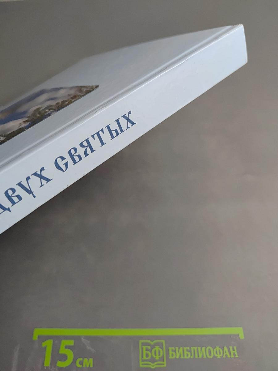 Под сенью двух святых