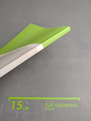 Здоровая школа: проектирование программы здоровьесозидания. Настольная книга для руководителей образовательных учреждений и педагогов