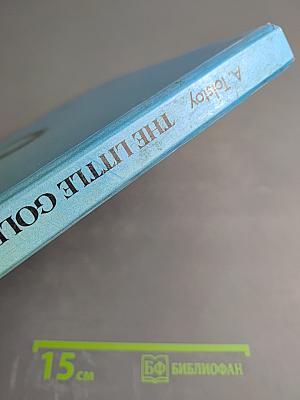 The Little Gold Key or the Adventures of Burattino