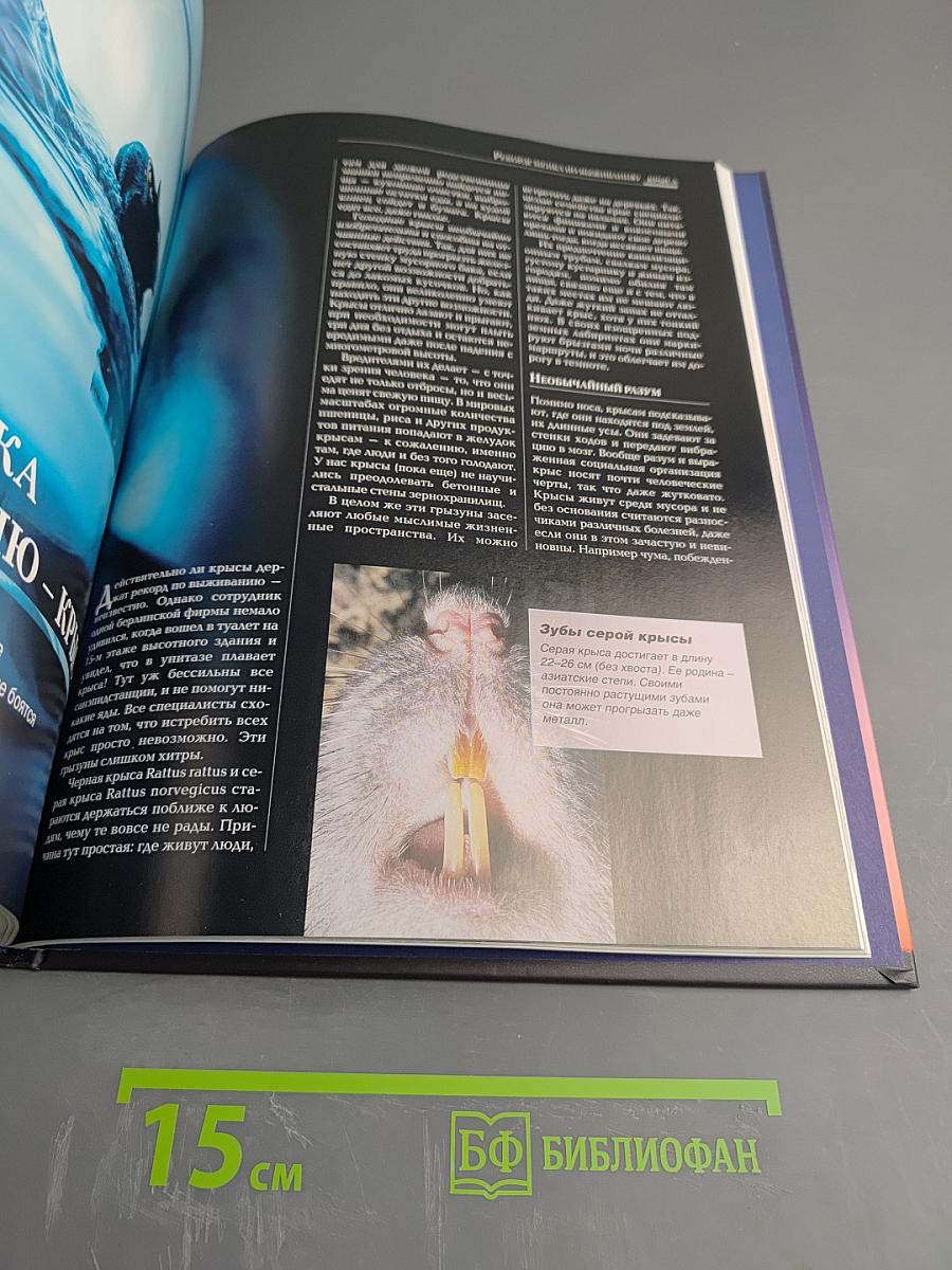 Неразгаданные тайны человечества