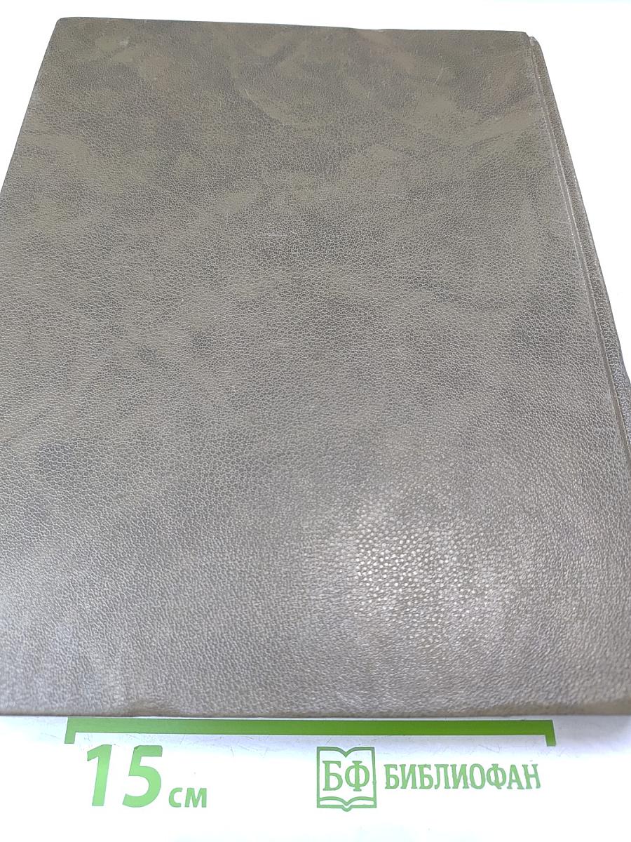 Новый большой англо-русский словарь. Том III R-Z