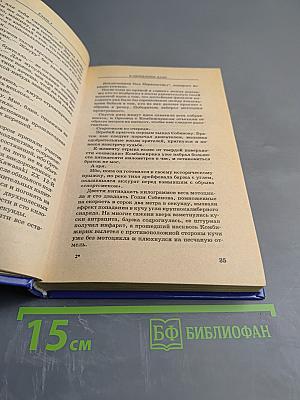 Реглан для братвы