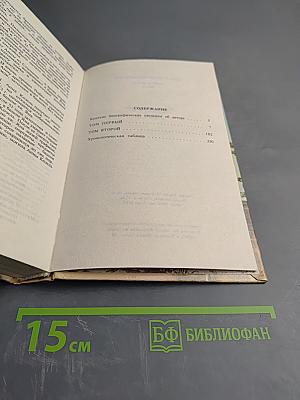 Графиня Козель