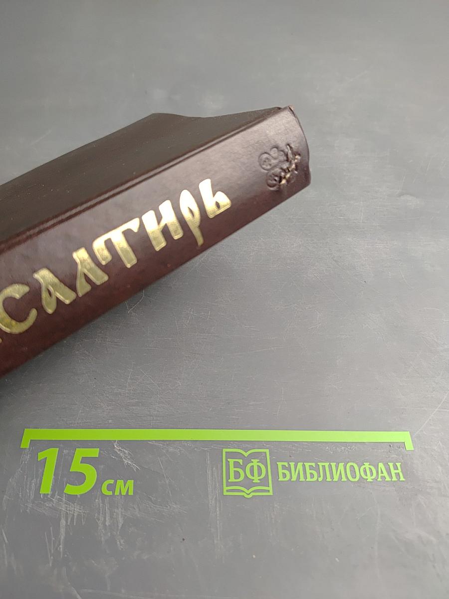 Псалтирь с толкованием, с поминовением живых и усопших, с указанием чтений на всякую потребу, с келейным правилом прп. Серафима Саровского и чином чтения 12 псалмов