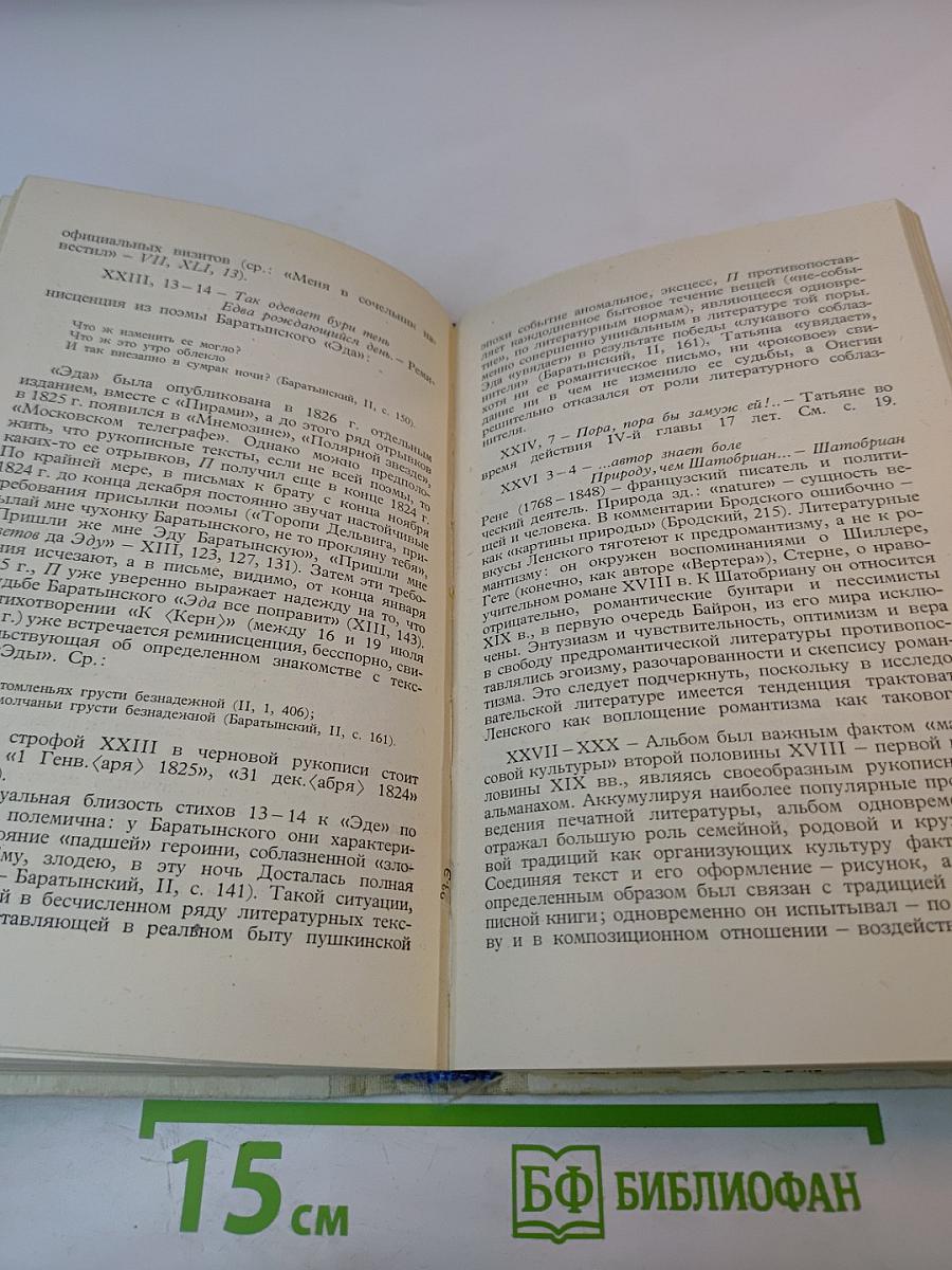 Роман А.С. Пушкина "Евгений Онегин" Комментарий