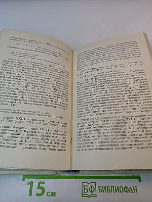 Роман А.С. Пушкина "Евгений Онегин" Комментарий