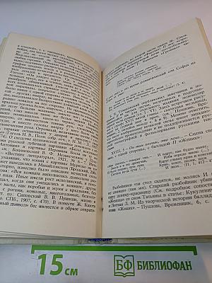 Роман А.С. Пушкина "Евгений Онегин" Комментарий