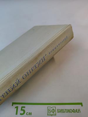 Роман А.С. Пушкина "Евгений Онегин" Комментарий
