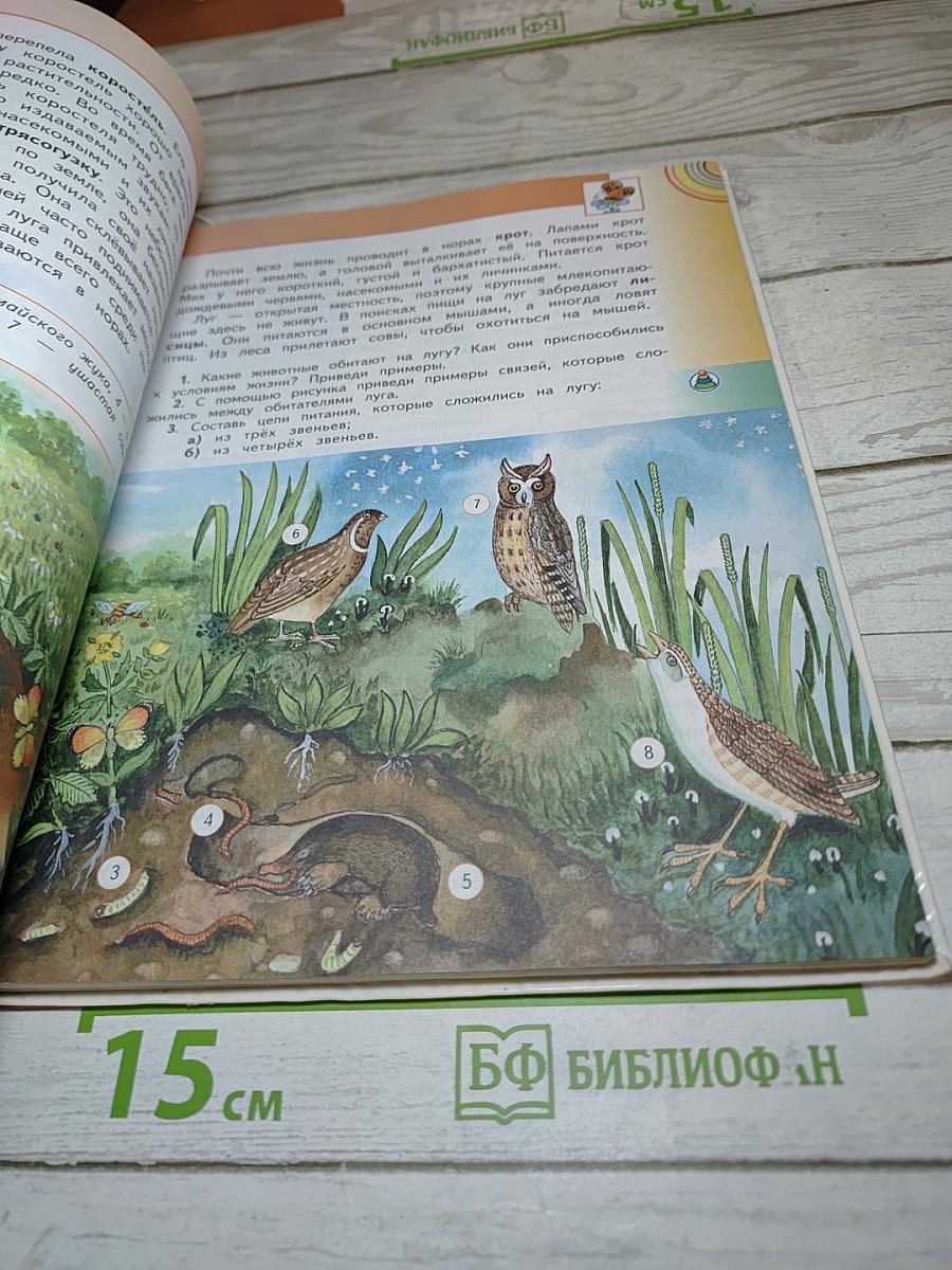 Окружающий мир 4 класс