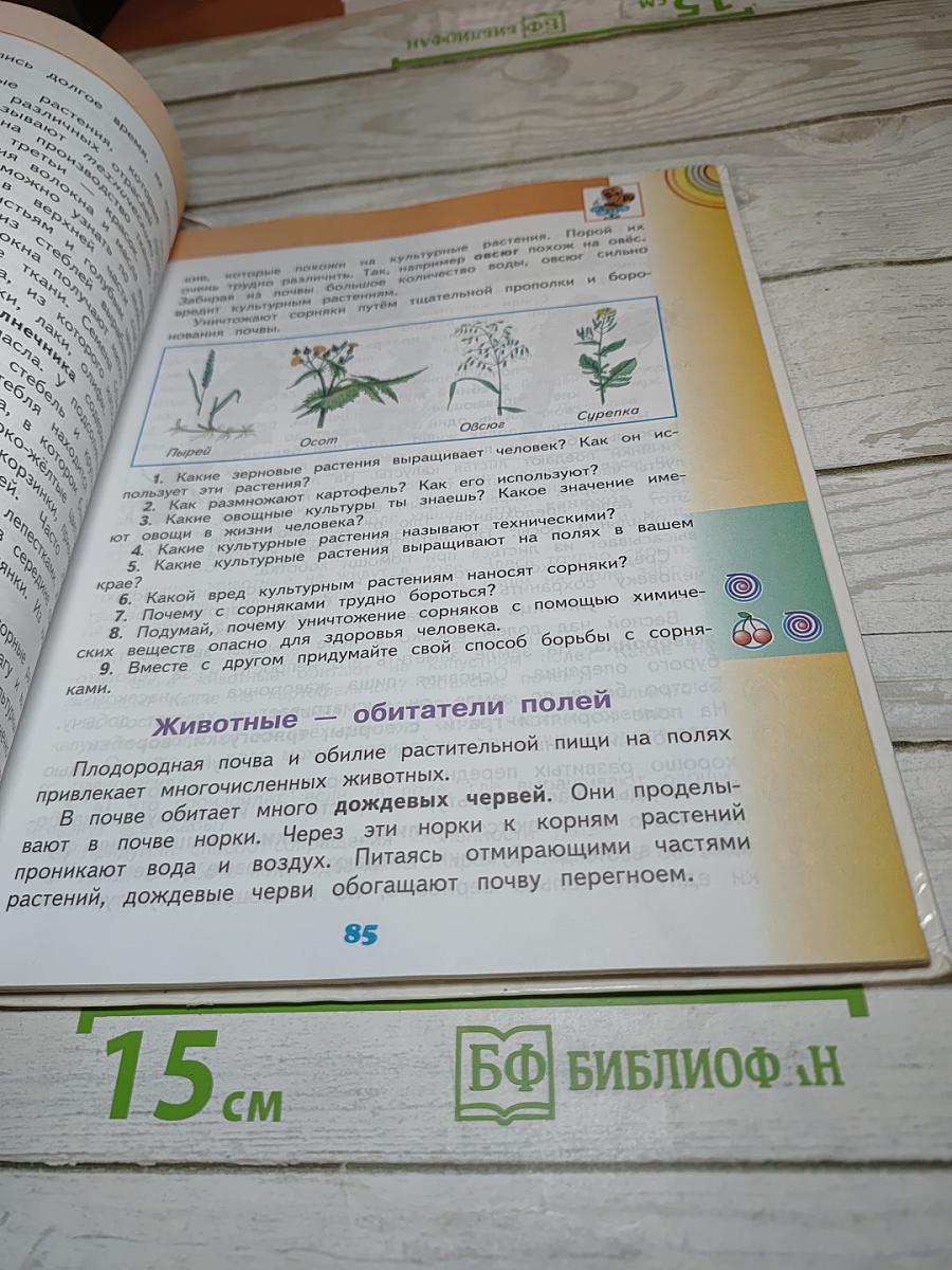 Окружающий мир 4 класс