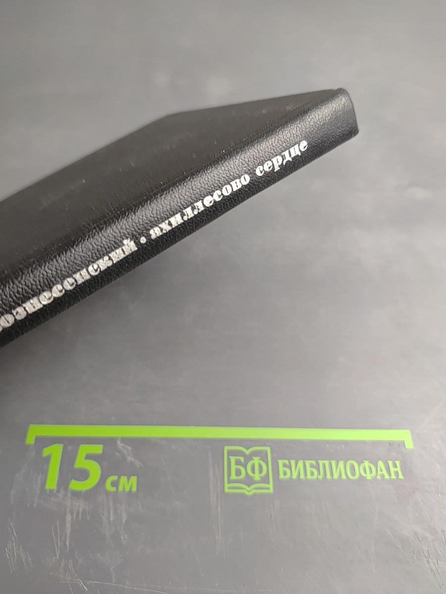 Вознесенский Ахиллесово сердце