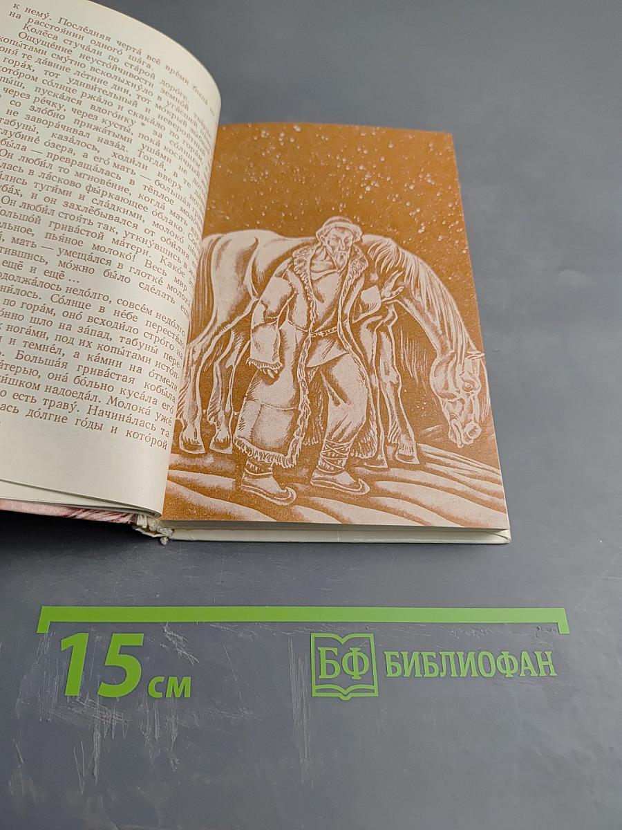 Прощай, Гульсары!