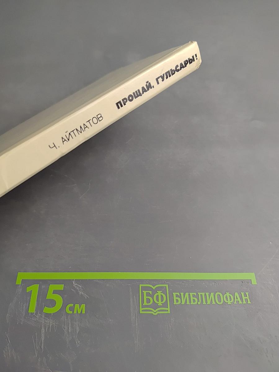 Прощай, Гульсары!