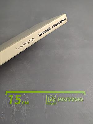 Прощай, Гульсары!