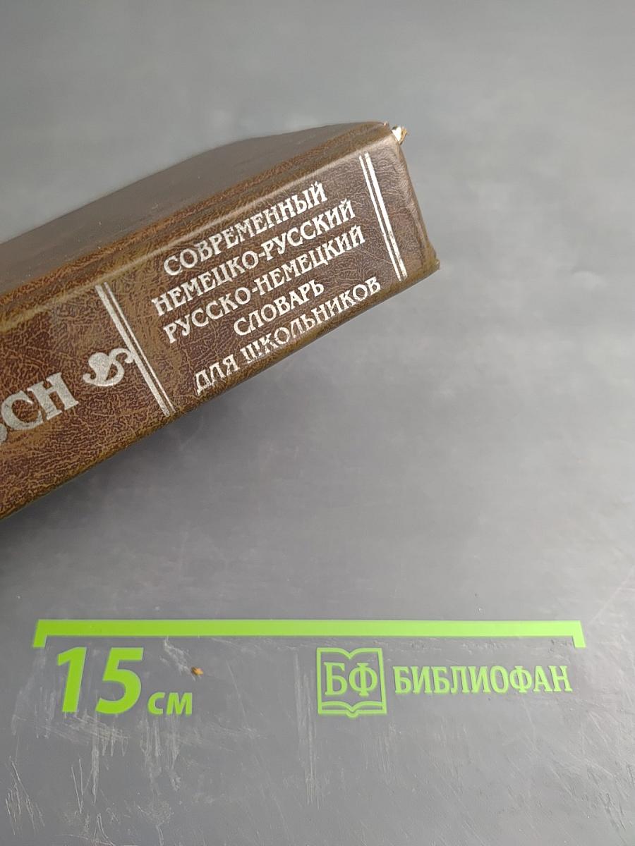 Современный немецко-русский, русско-немецкий словарь для школьников. Грамматика