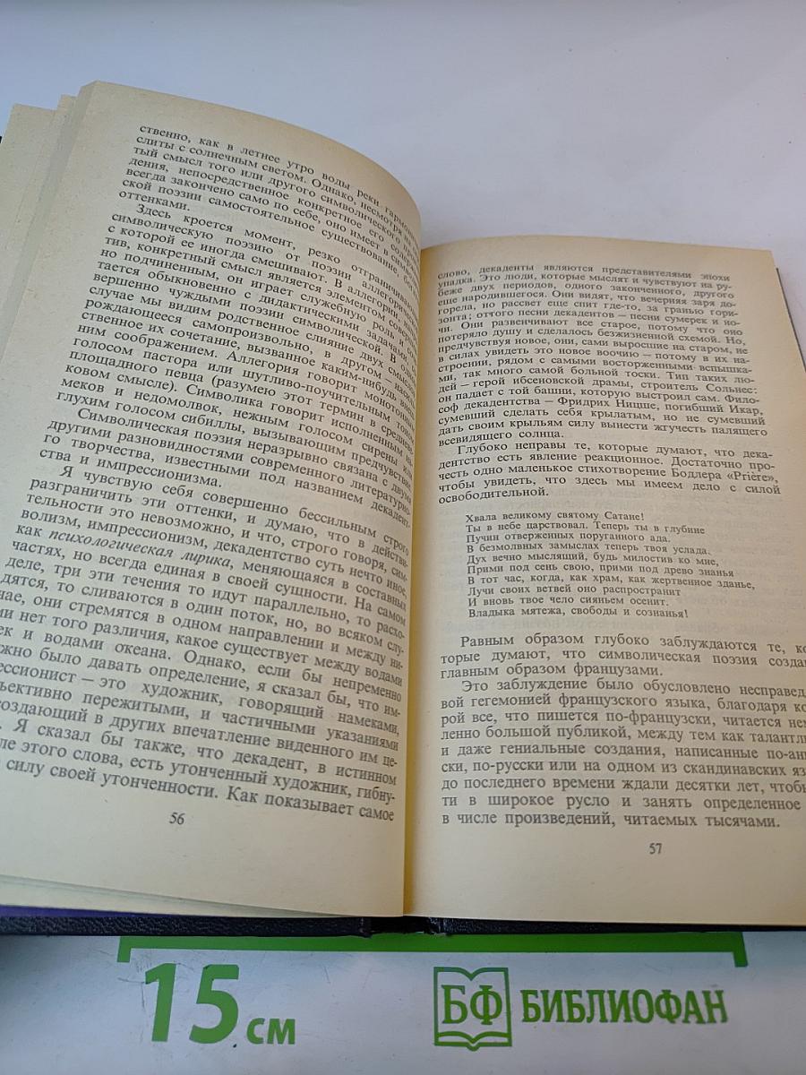 Поэтические течения в русской литературе конца XIX – начала XX века. Хрестоматия