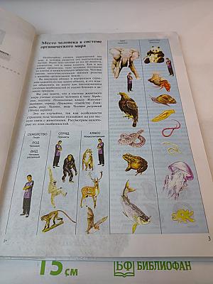 Биология. Человек. 8 класс