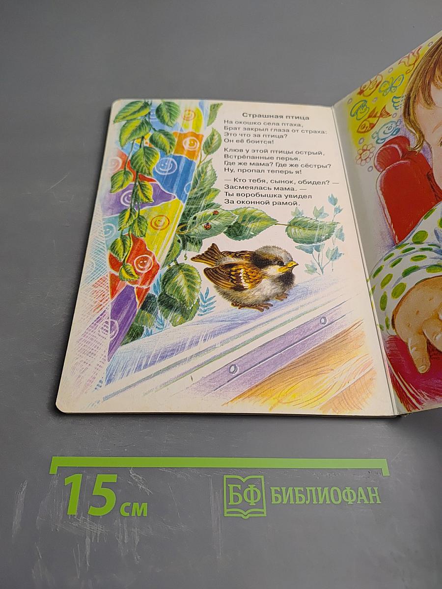 Погремушка