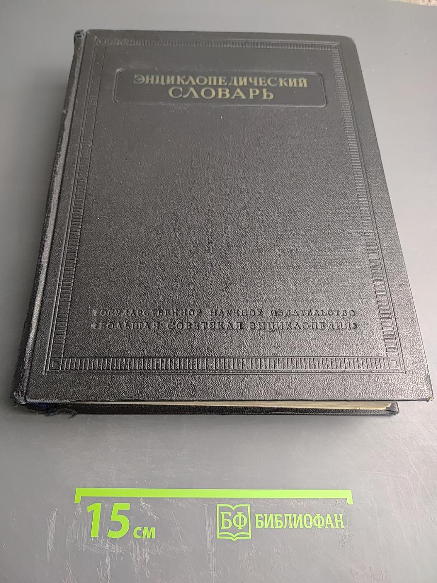 Энциклопедический словарь. Том 1: А-Й