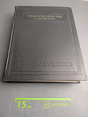 Энциклопедический словарь. Том 1: А-Й