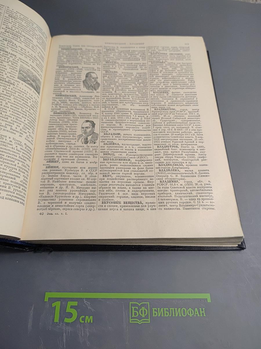 Энциклопедический словарь. Том 1: А-Й