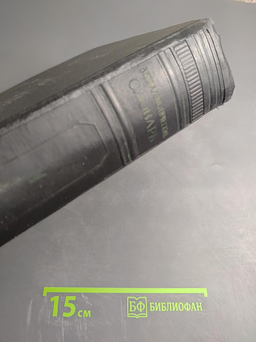 Энциклопедический словарь. Том 1: А-Й