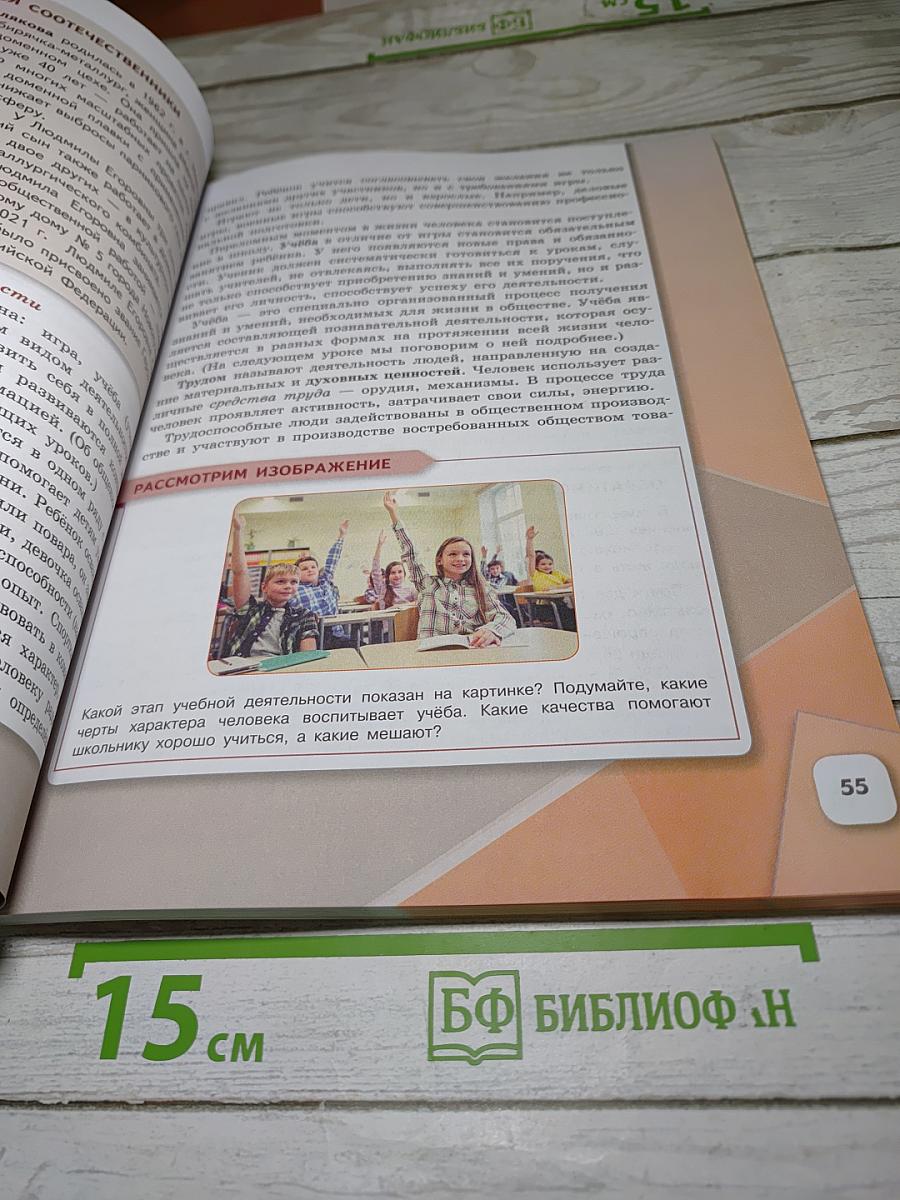 Обществознание 6 класс