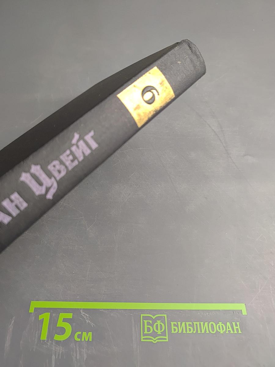 Стефан Цвейг. Собрание сочинений в семи томах. Том VI