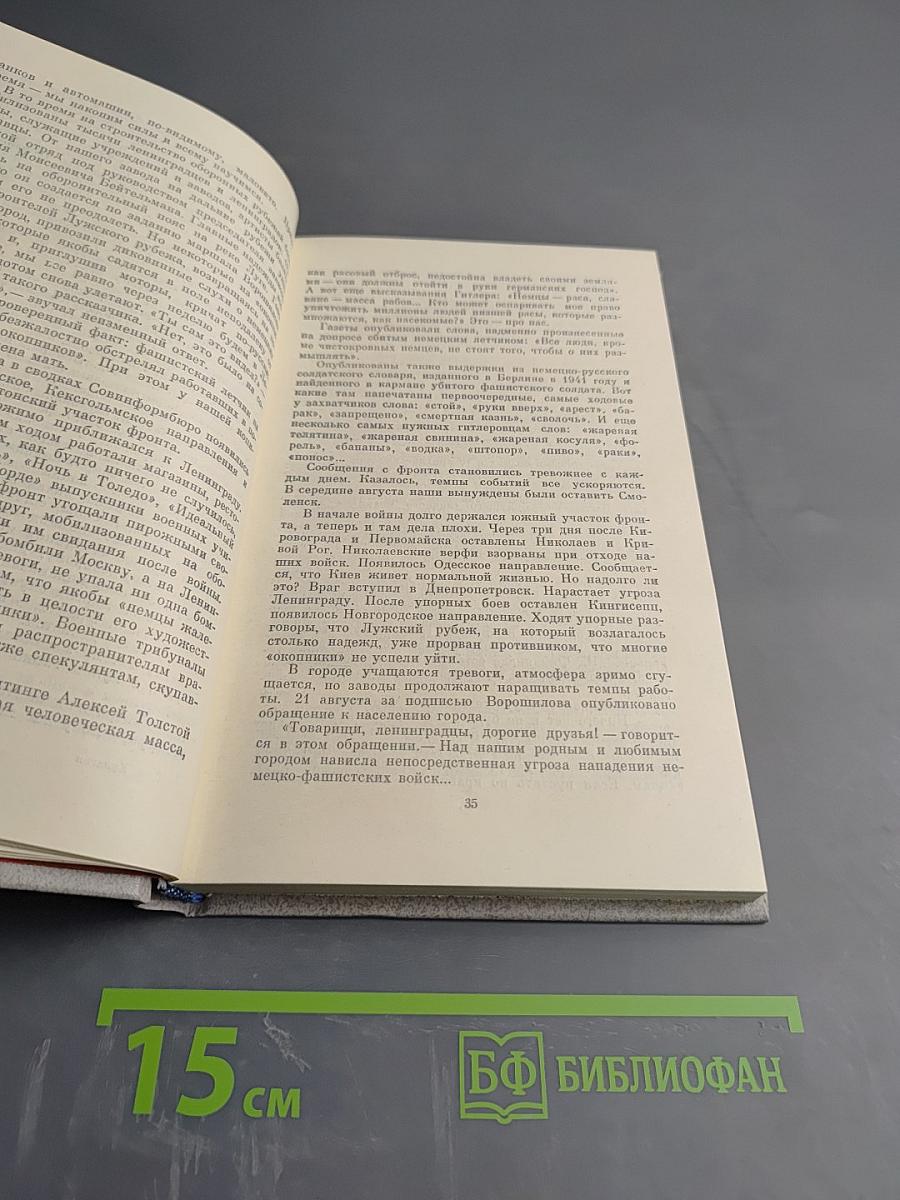 Дневник и память. О пережитом в годы блокады