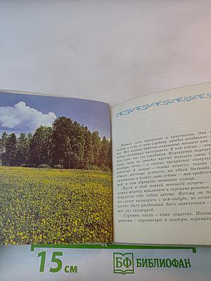 Цветы Севера