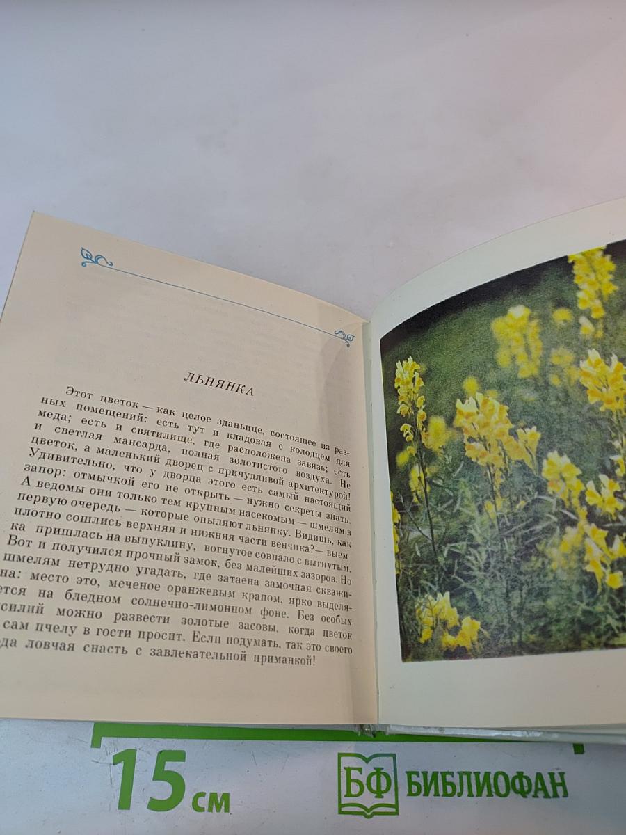 Цветы Севера