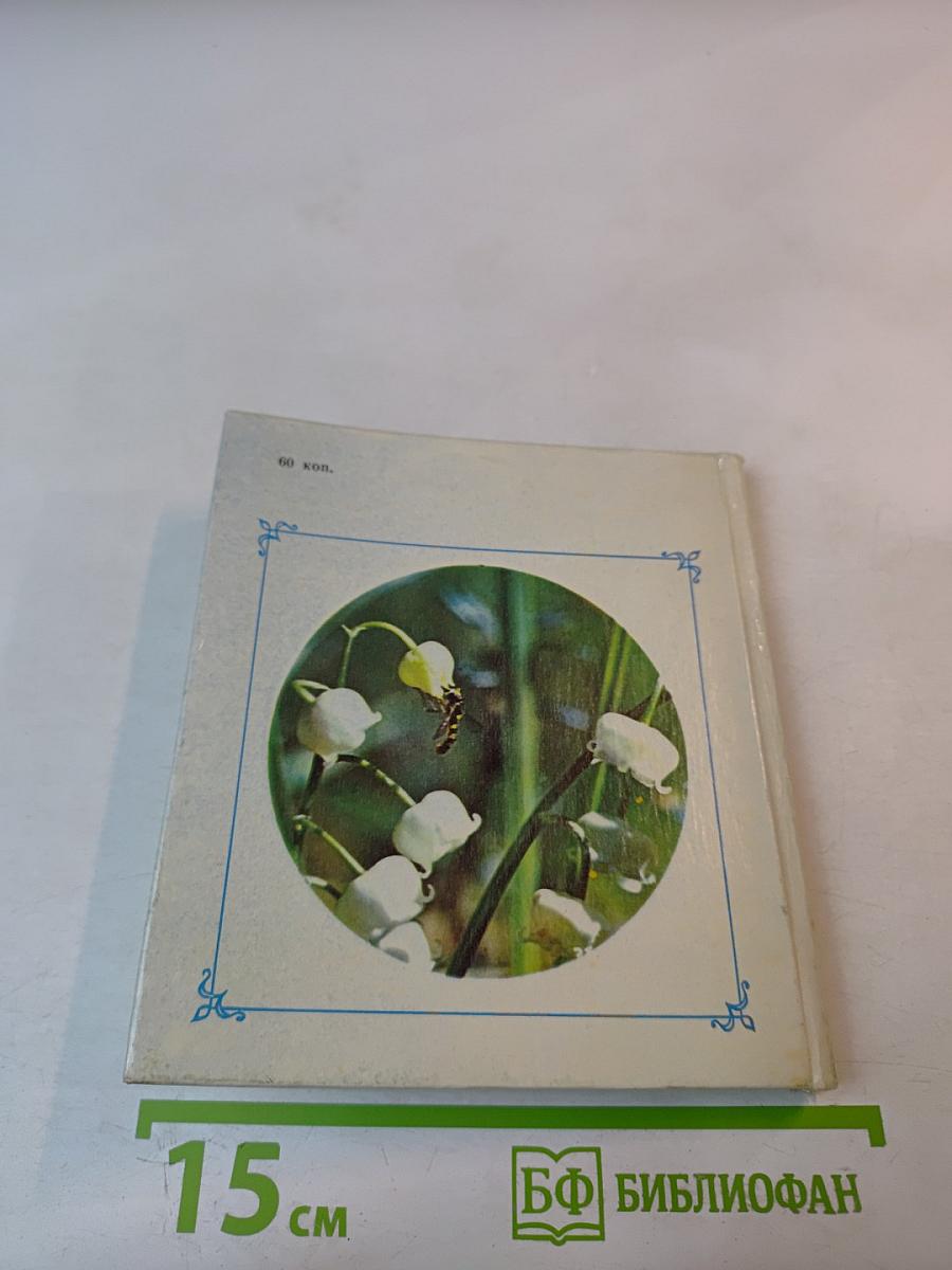 Цветы Севера