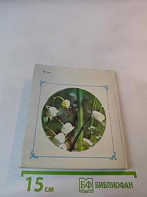 Цветы Севера