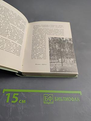 Пригороды Ленинграда. Художественные памятники