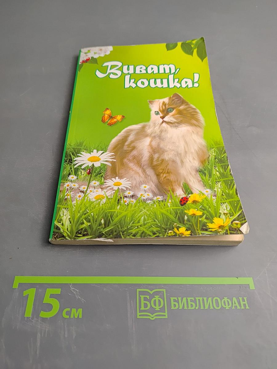 Виват, кошка!