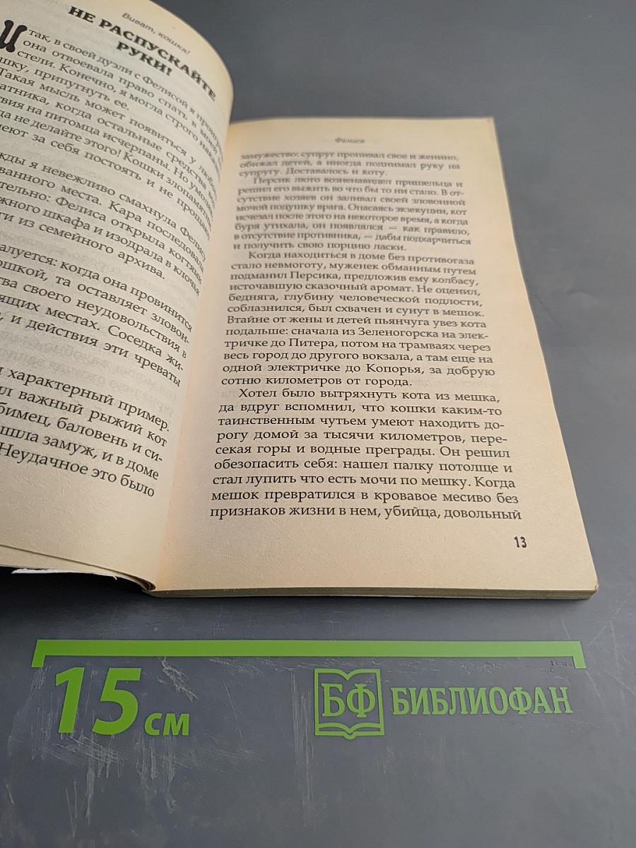 Виват, кошка!