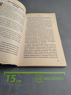 Виват, кошка!