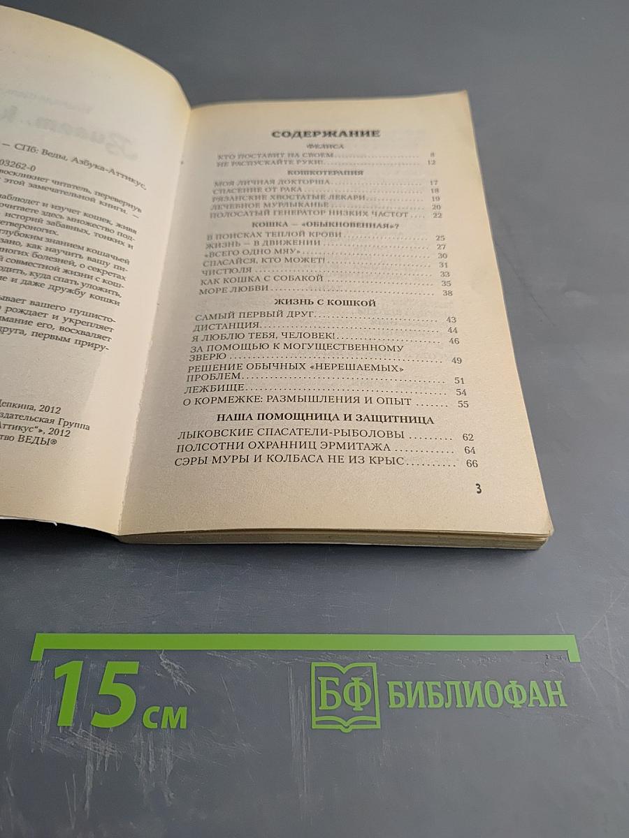 Виват, кошка!