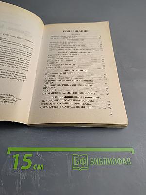 Виват, кошка!