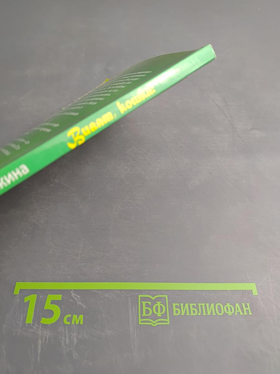 Виват, кошка!