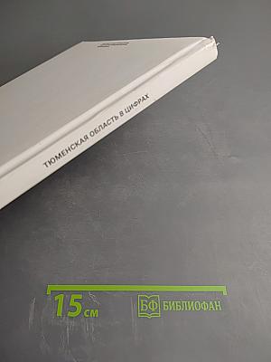 Тюменская область в цифрах