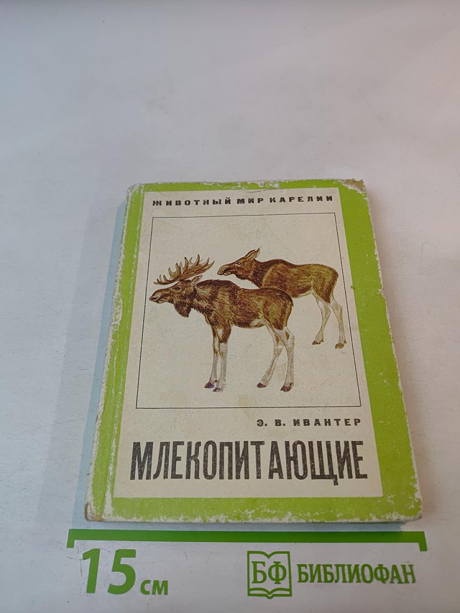 Млекопитающие