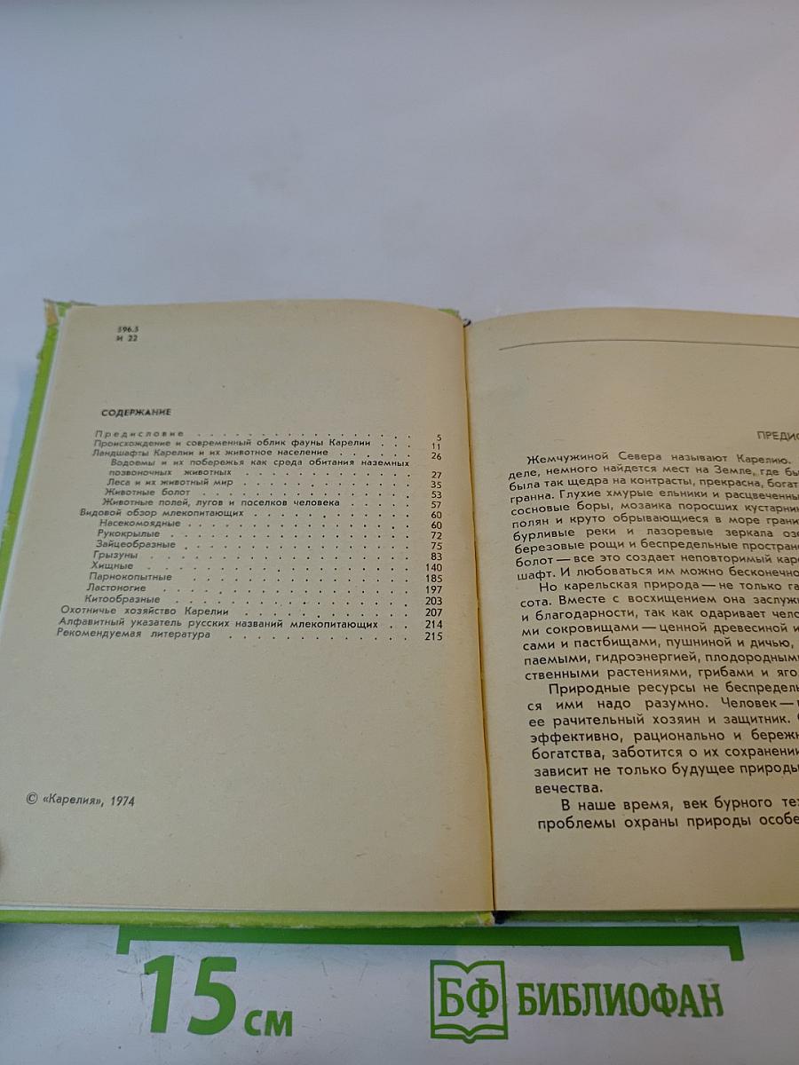 Млекопитающие